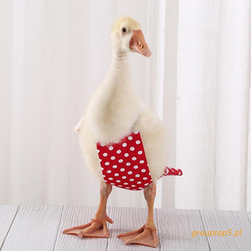 Group Cute Bow Overalls Cole Duck Flight Suit Pet Bird Diapers Small