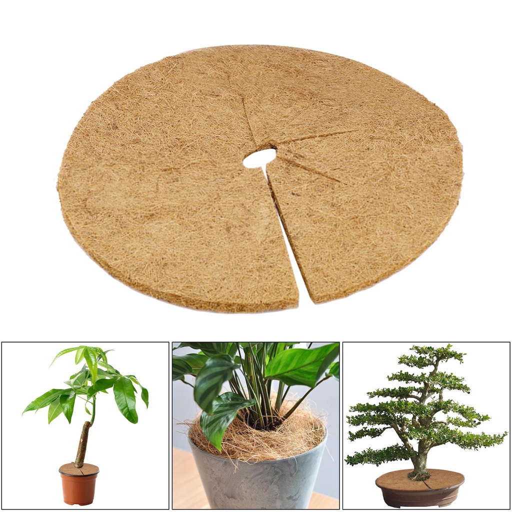 Coco Coir Mulch Rings Mat Plant Cover Tree Frost Protector Moisture Control 16" 