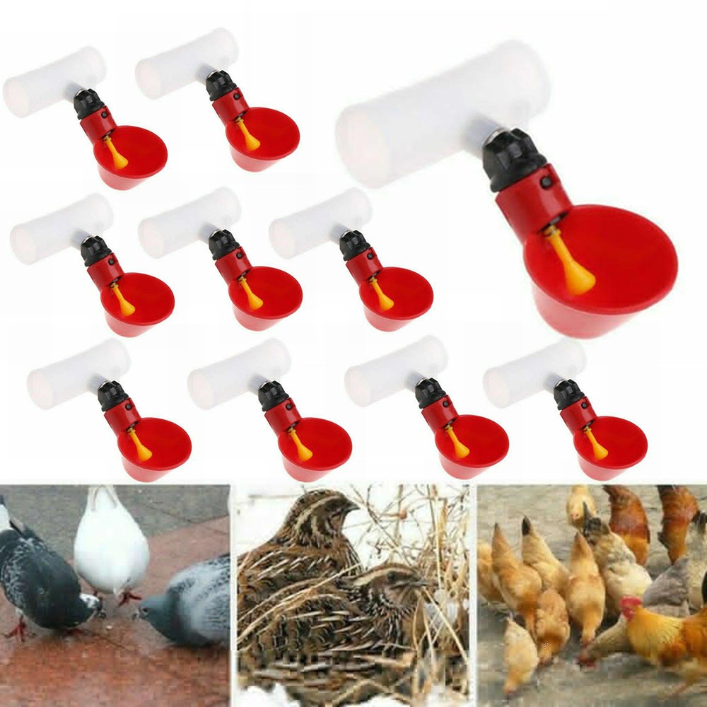 Details about   10Pcs Poultry Automatic Drinker Chicken Drinker Chicken Drinking Nipple 
