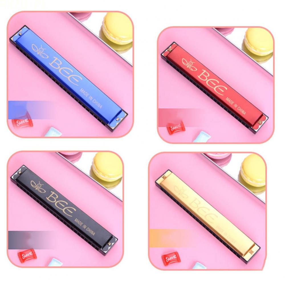 Harmonica Instrument Key Of C Kids Mouth Organ Musical 24 Holes 48