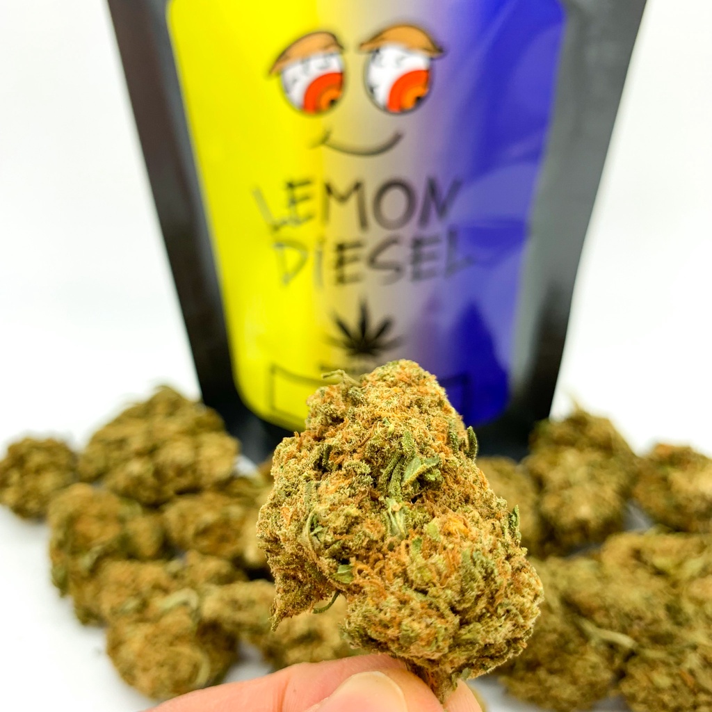 Susz Konopny CBD Lemon Diesel GastroCBD 10g Shopee Polska