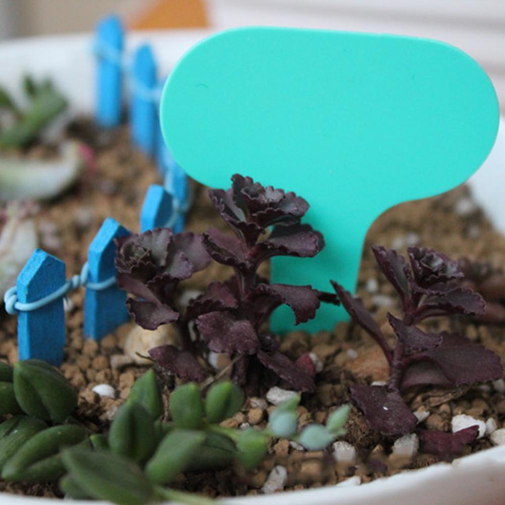 Gardening Label Waterproof Signage Plastic Plant Label Accompanied