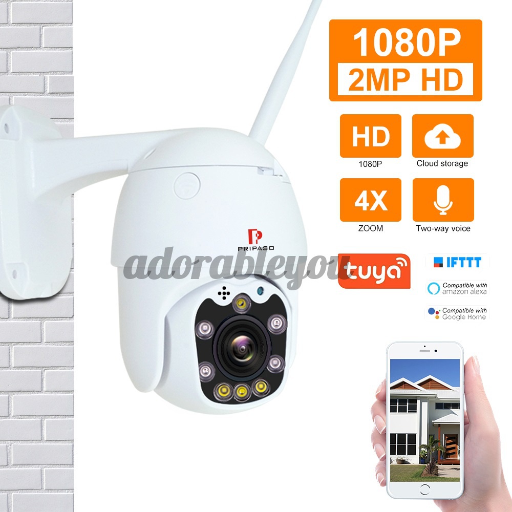 Pripaso 1080P Outdoor PTZ TuyaSmart IP Camera Mobile App With Two Way