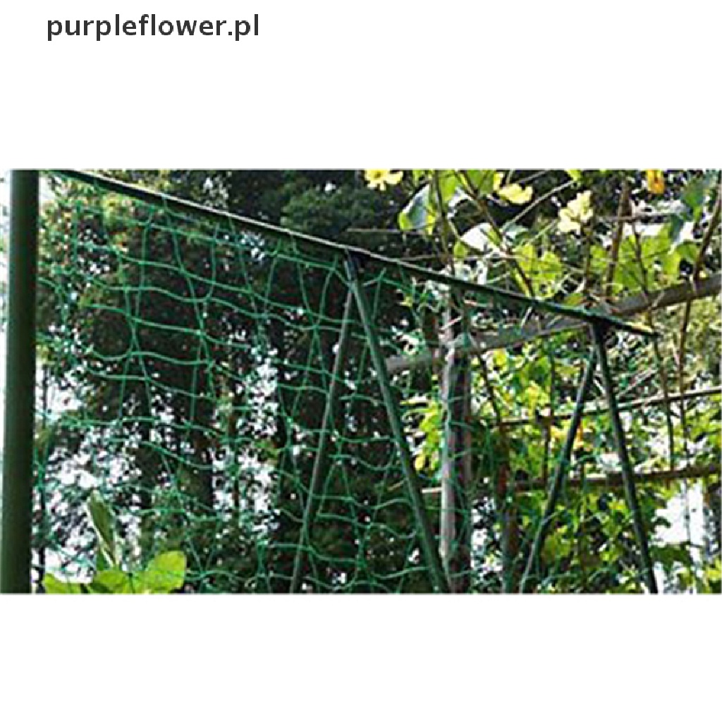 Garden Green Nylon Trellis Netting Support Climbing Bean Plant Net Grow Fence NI 